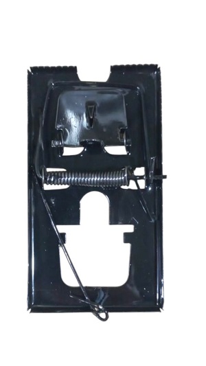 Мышеловка черная