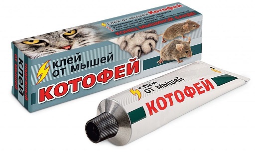 Клей Котофей